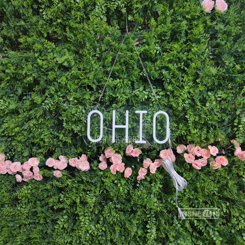 OHIO Led Custom Neon Sign