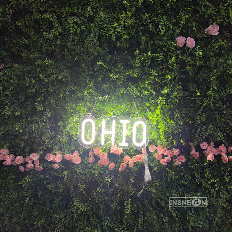 OHIO Led Custom Neon Sign